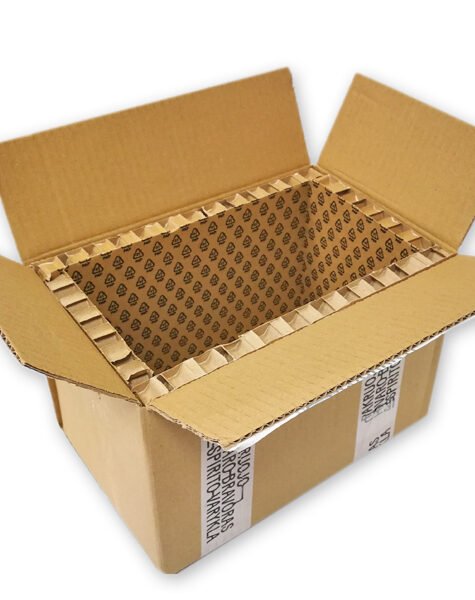 Korinis-kartonas-dėžės-viduje